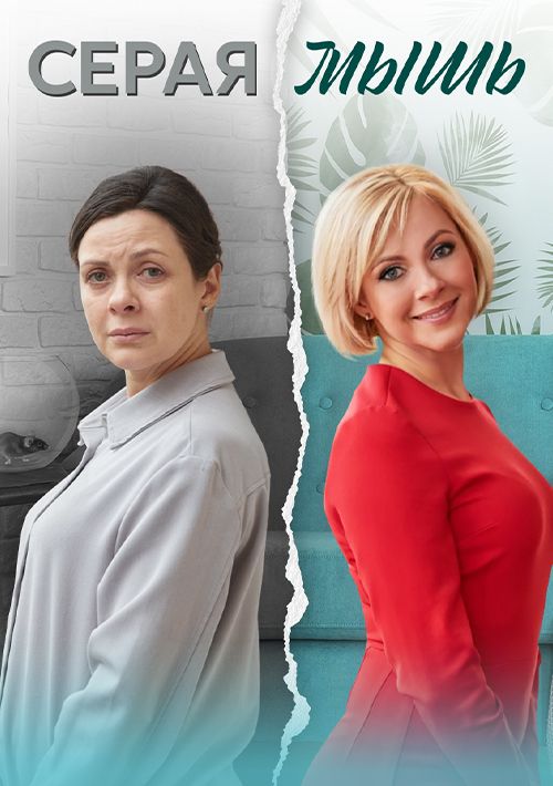 Постер Серая мышь