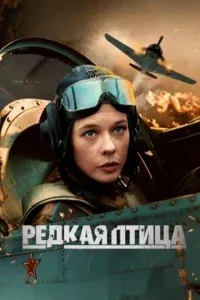 Постер Редкая птица